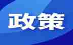 双减政策下的心得体会参考5篇