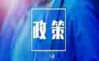 形式与政策心得体会20241000字7篇