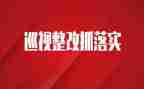 审计整改报告模板7篇