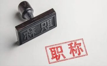 正高级教师个人总结7篇
