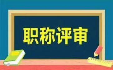 正高级业务工作报告6篇