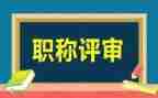正高级业务工作报告6篇