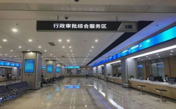 政务网工作总结8篇