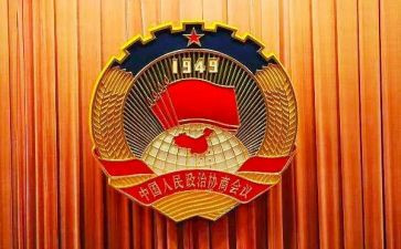 村政协工作总结7篇