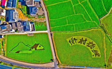 乡村振兴2024年工作计划5篇