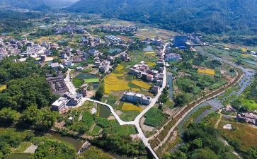 乡村振兴月工作汇报范文5篇