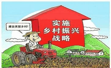 局乡村振兴工作总结7篇