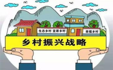 乡村振兴员述职报告5篇