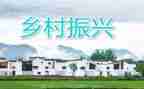 市乡村振兴工作总结优秀8篇