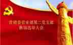 党支部换届工作总结6篇