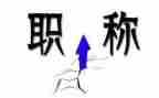 教师评职称职称述职报告精选5篇