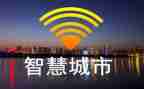 读教师的智慧心得体会7篇