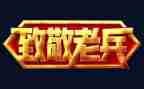 致敬了不起的她作文5篇