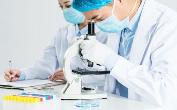 质量月的心得体会范文模板5篇