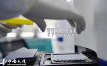 质量年度工作计划范文6篇