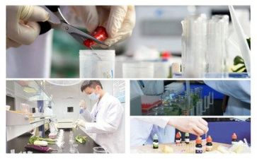 学质量管理体系心得5篇