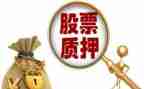 质押担保合同范文8篇