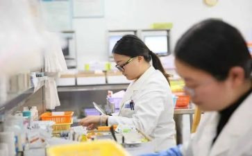 刚执业律师年度总结模板7篇