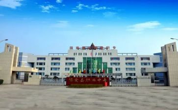 教师现职专业技术工作总结5篇