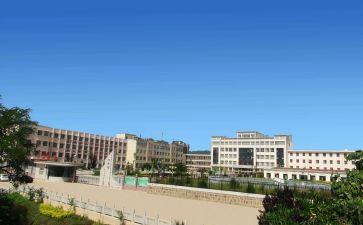 任职专业技术工作总结7篇