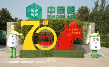 2024年中储粮工作总结5篇