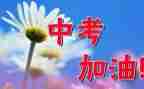 中考感悟类作文7篇