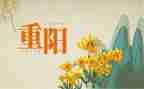 重阳敬老活动总结最新6篇