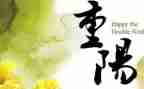 幼儿重阳节活动总结与反思5篇