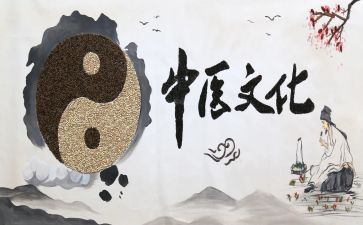 做中医工作总结7篇