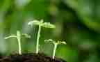 种子的结构教案6篇