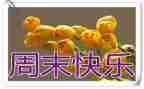 我的周末英语小作文8篇