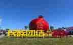 铸牢中华民族观后感6篇