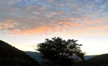 大班《自然测量》教案7篇