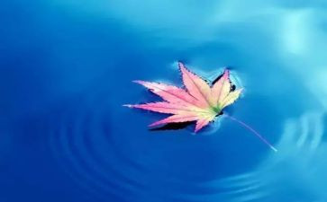 自然类中考作文7篇