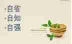 谈自省作文800字8篇