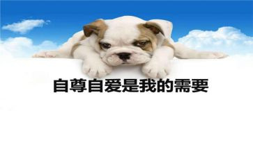 自尊自爱教案6篇