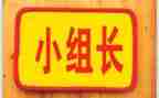 组长个人述职报告5篇