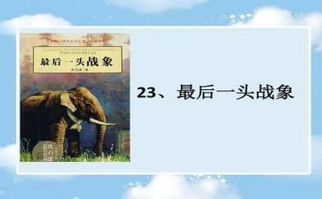 最后一头战象读后感优秀8篇
