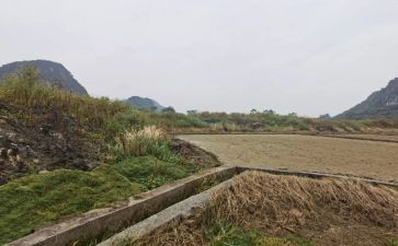 跟房屋中介签租赁合同5篇
