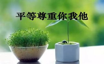 生活需要尊重作文7篇